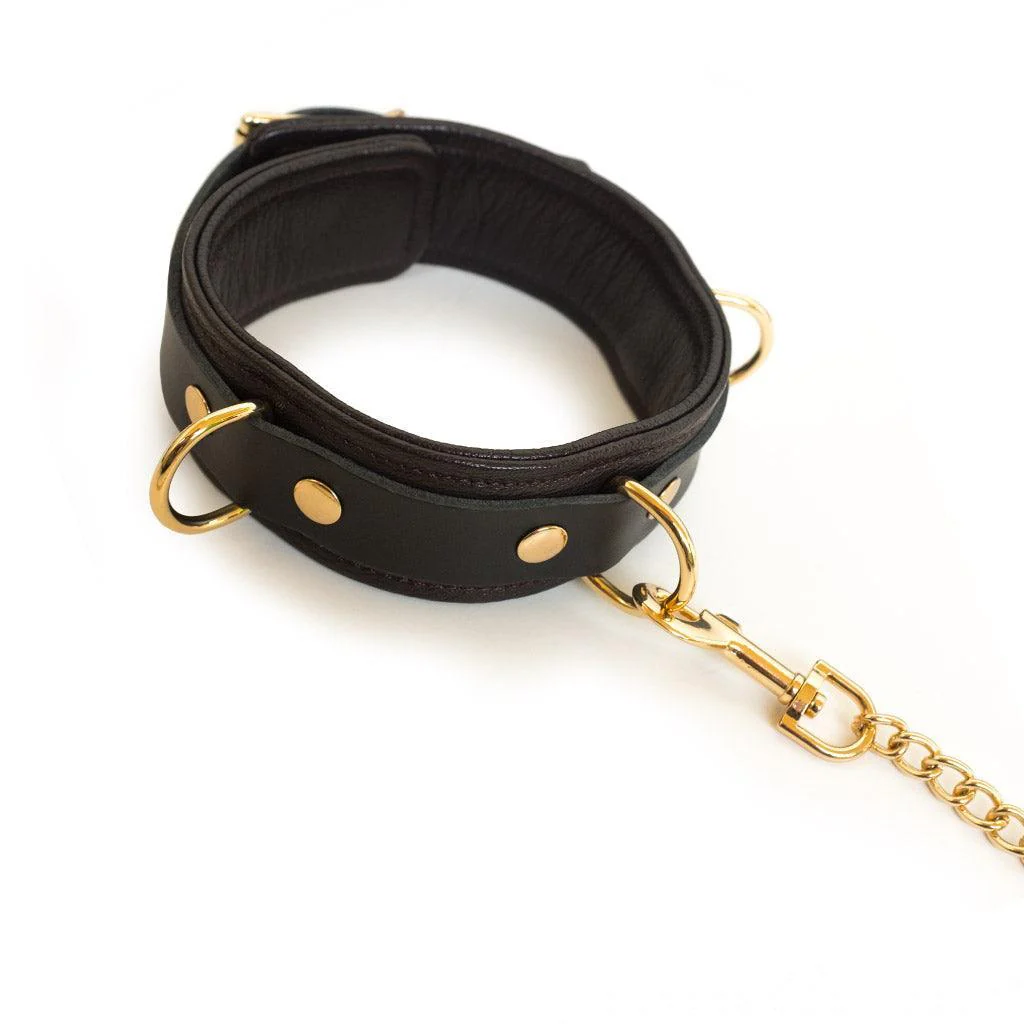 Brown Leather Collar & Leash with Gold Accent Hardware - Image 4