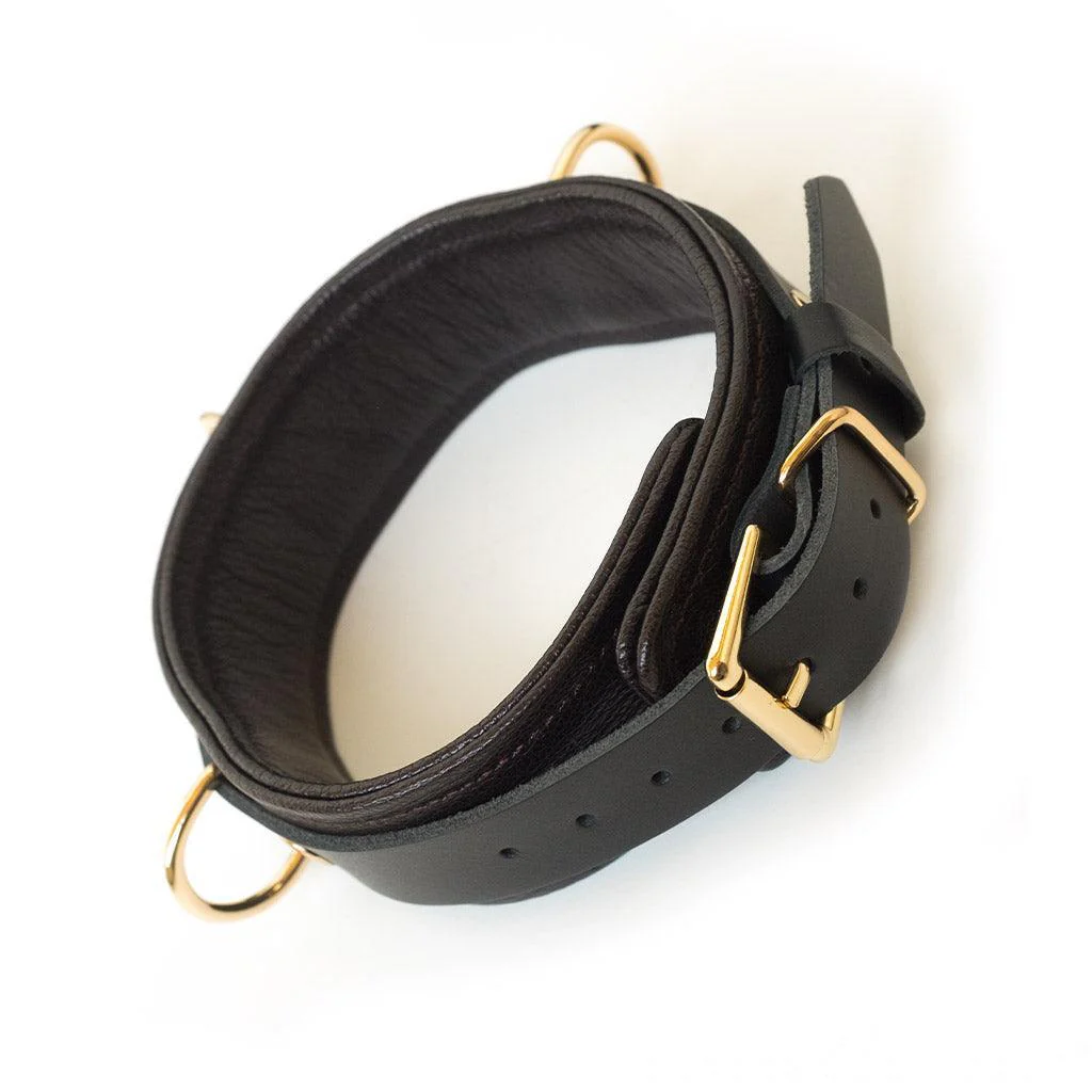 Brown Leather Collar & Leash with Gold Accent Hardware - Image 5