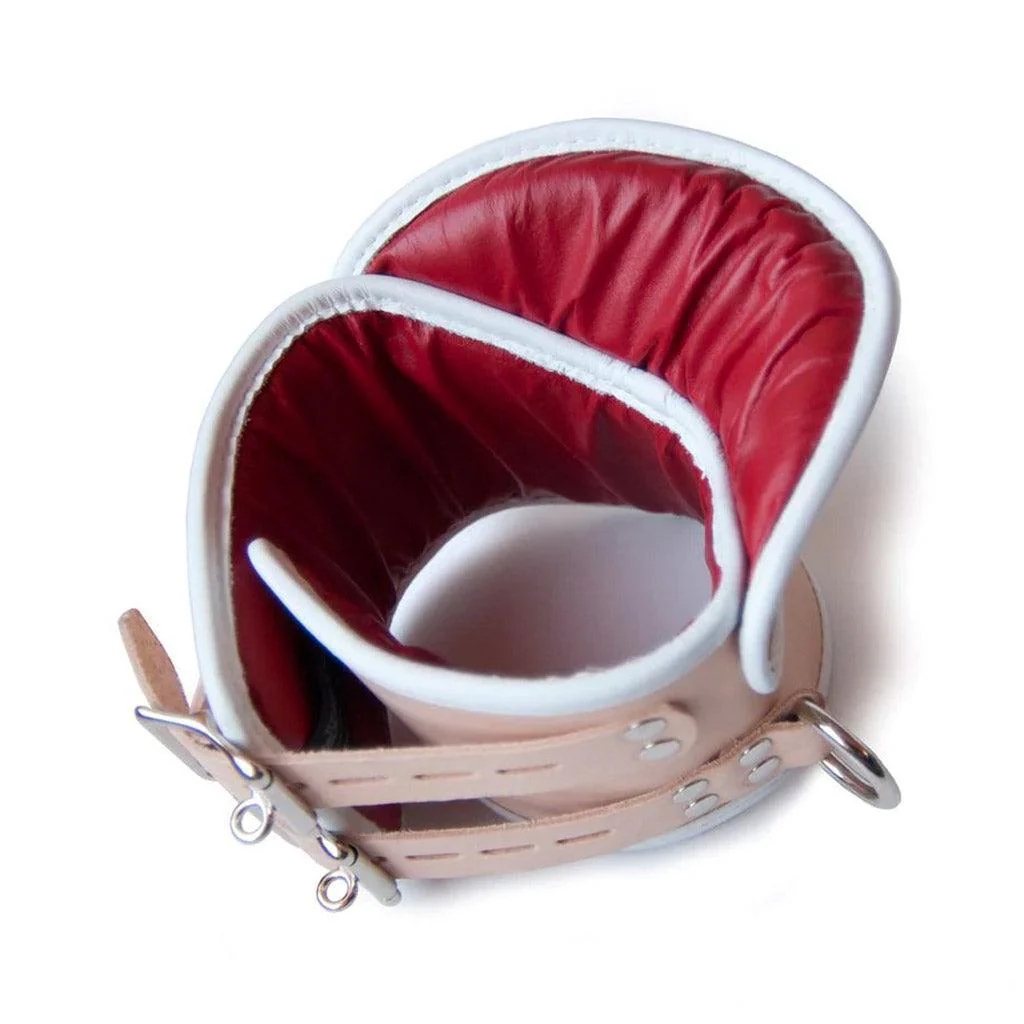 Deluxe Padded Medical Posture Collar - Image 3
