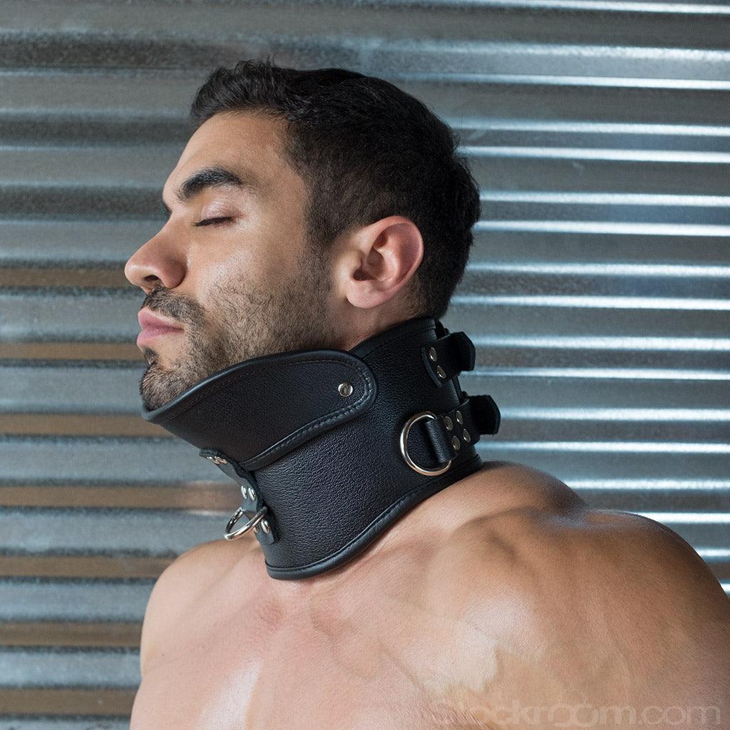 Deluxe Padded Leather Posture Collar w/ D Rings