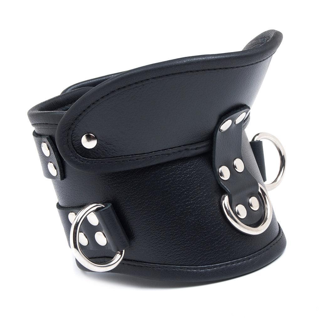 Deluxe Padded Leather Posture Collar w/ D Rings - Image 2