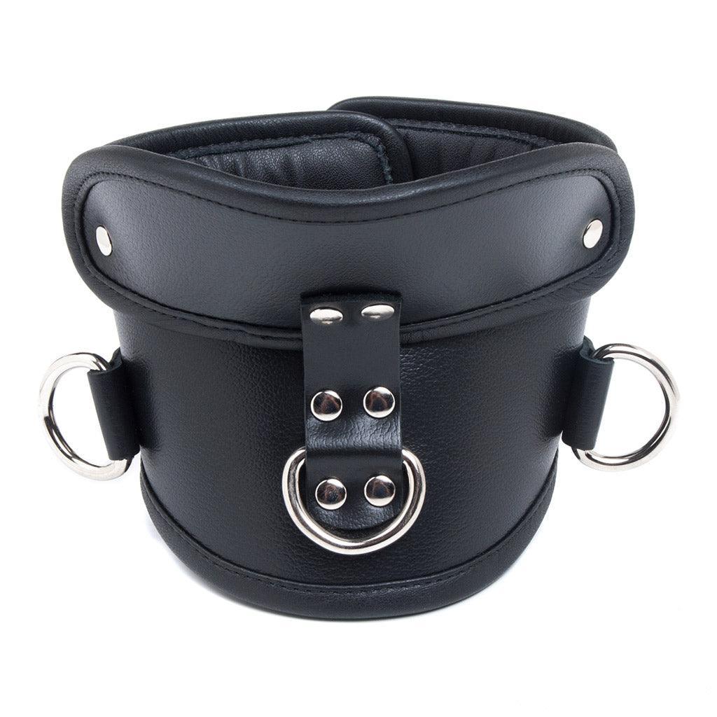Deluxe Padded Leather Posture Collar w/ D Rings - Image 3