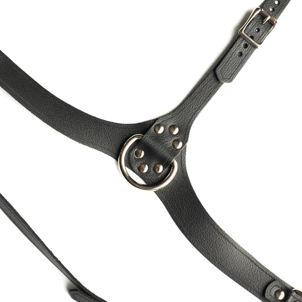 Full Curves Leather Bust Harness - Image 4