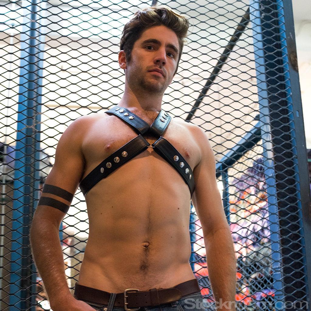 Garment Leather Chest Harness - Image 3