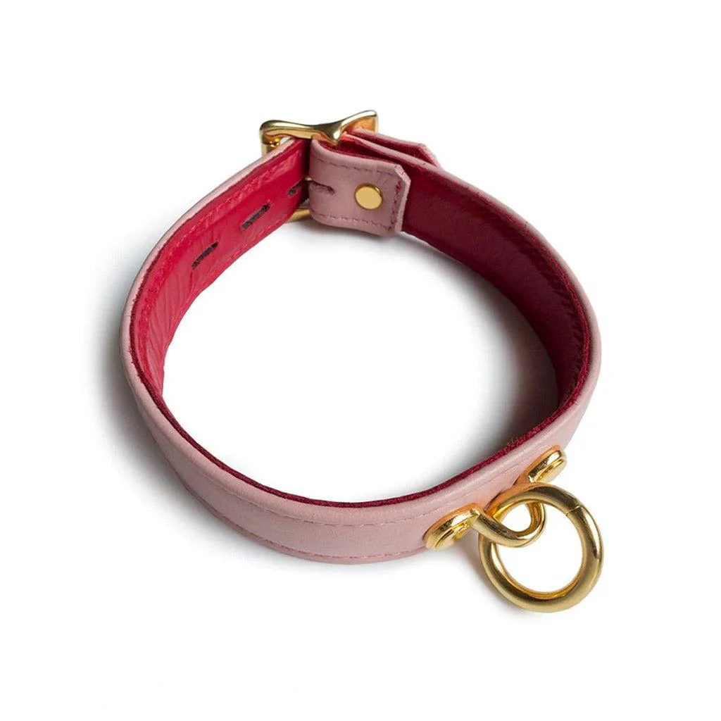 Premium Garment Leather Collar w/ 18k Gold Plated Hardware - Image 2