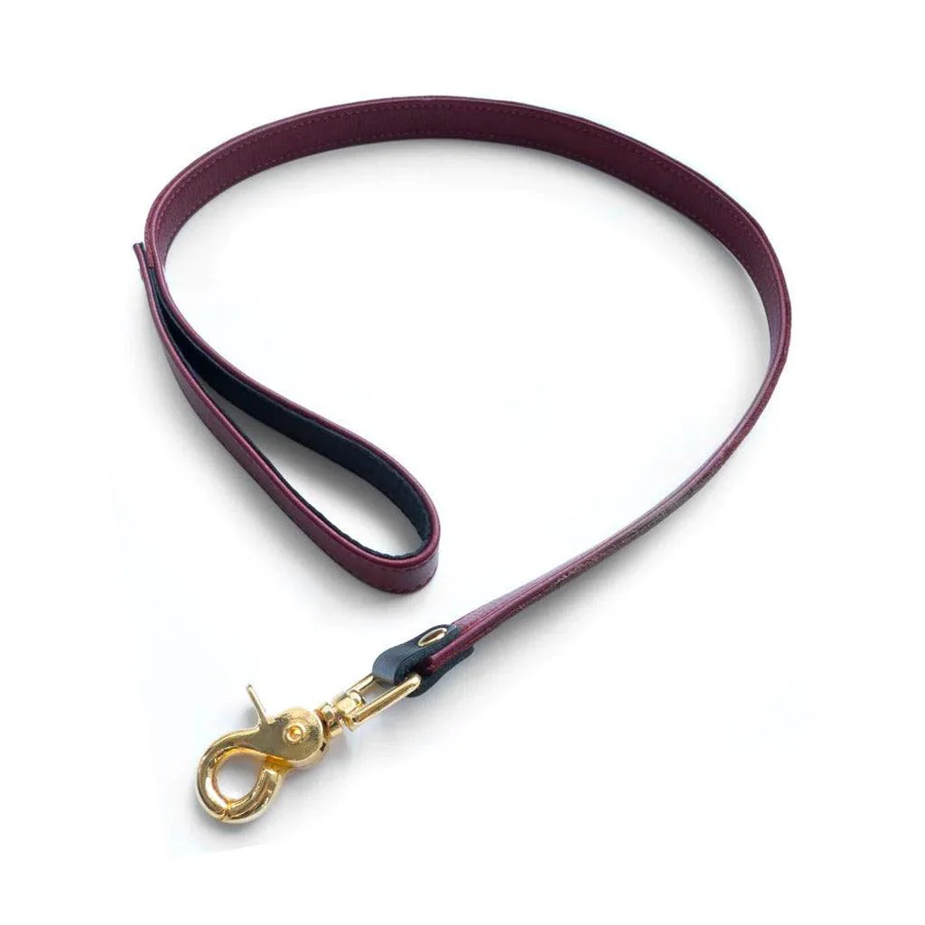 JT Signature Collection Leash - Image 2