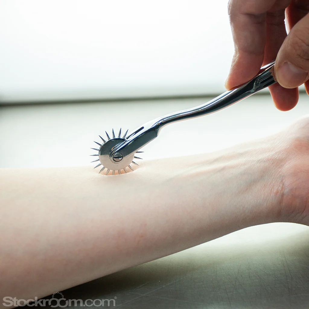KinkLab Wartenberg Pinwheel with Leather Sheath - Image 3