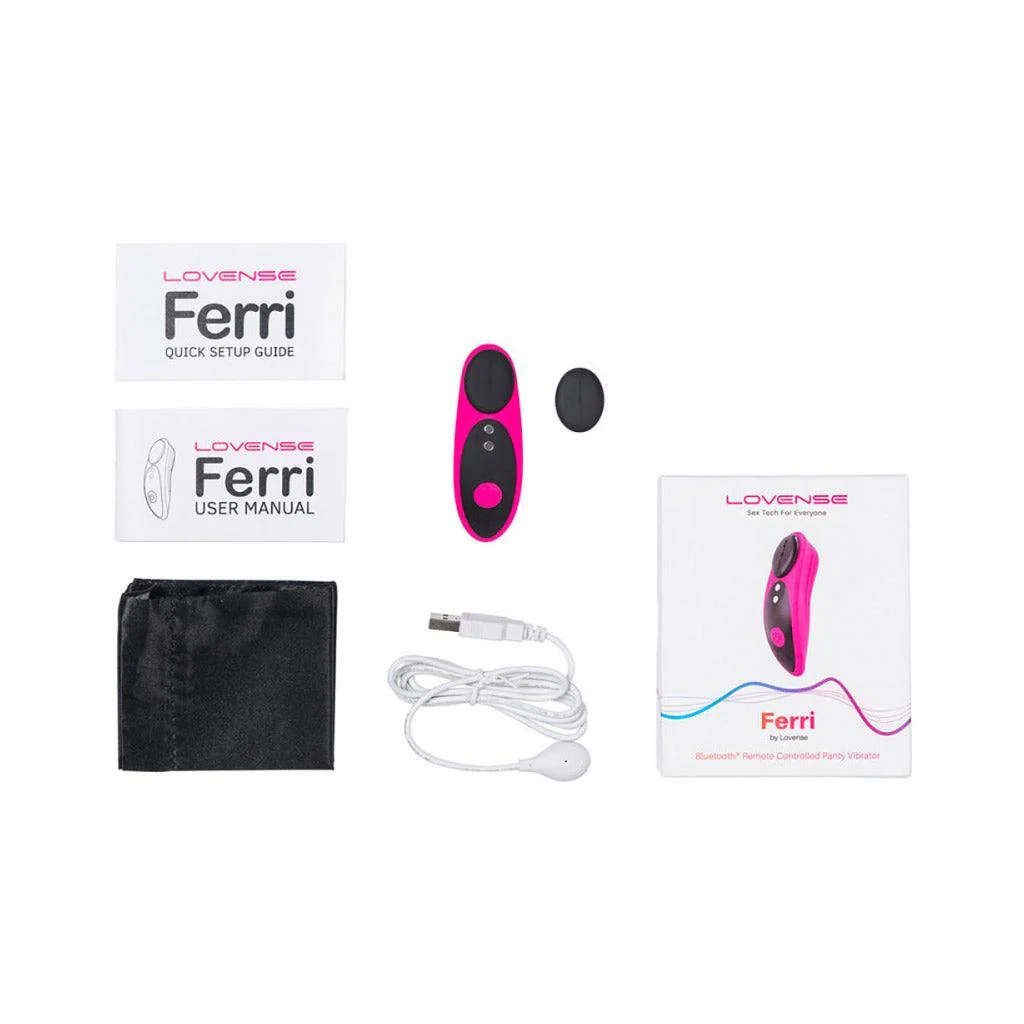 Lovense Ferri Magnetic Panty Vibrator - Image 4