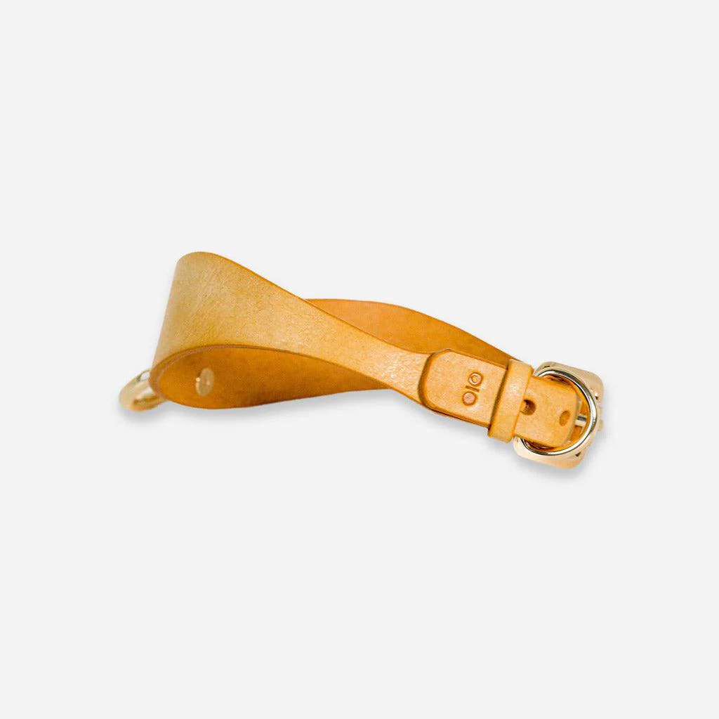 Luxury Leather Day Collar by Neon Coyotes, Golden Hour - Image 4