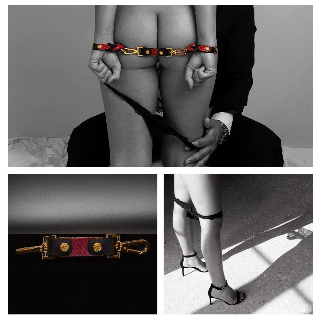 Melanie Rose Designs x The Stockroom Restraint Clip - Image 5