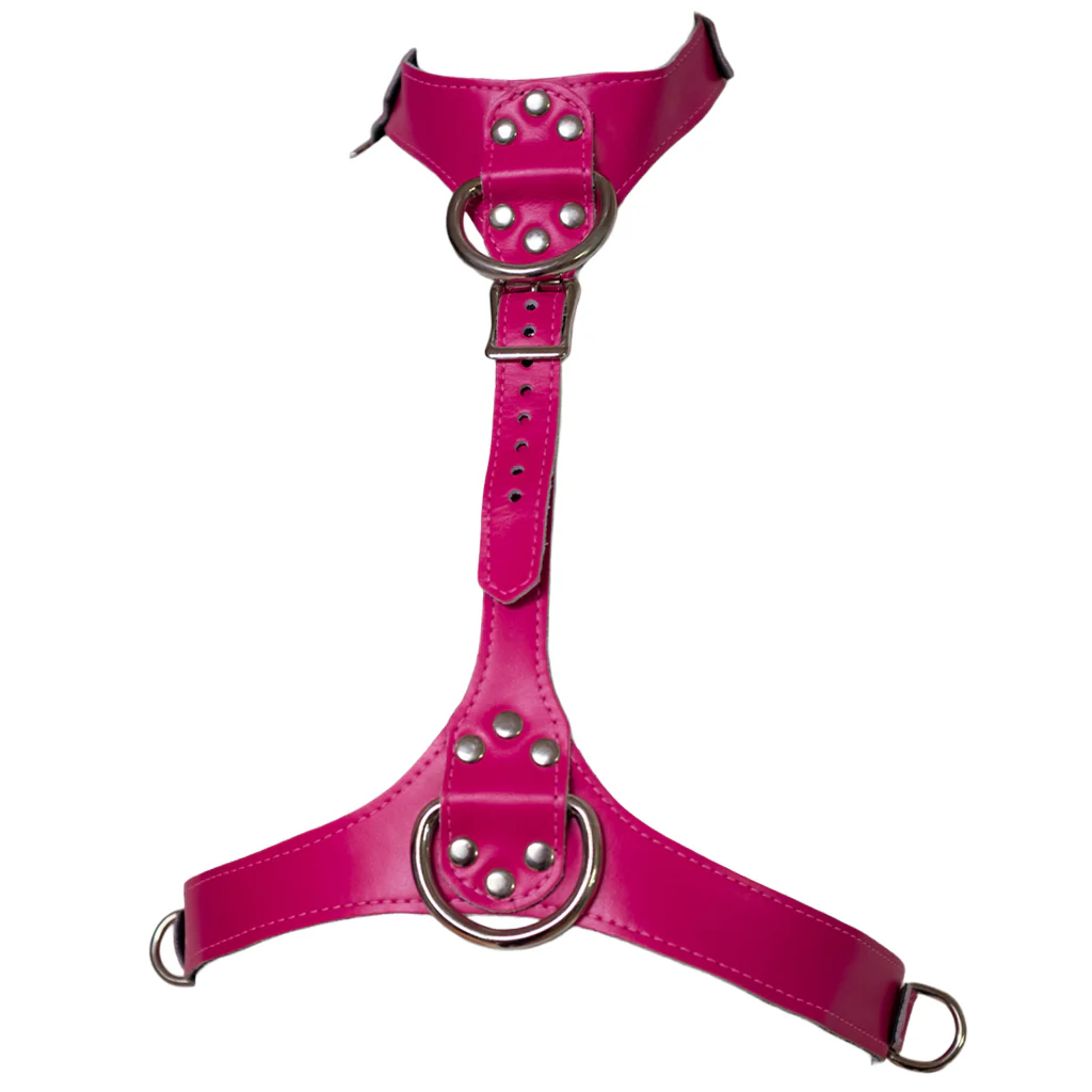 Neon Angel Bust Harness, Pink