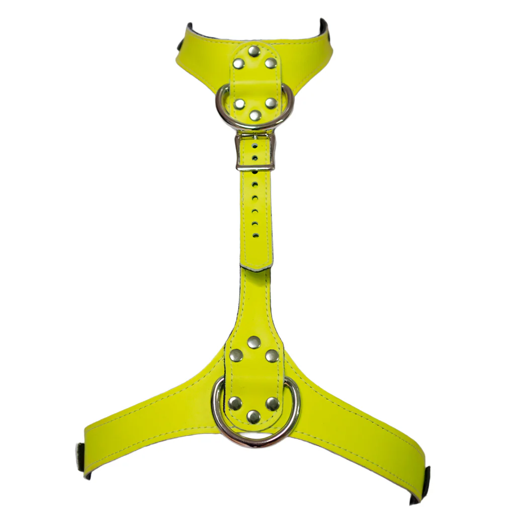 Neon Angel Bust Harness, Yellow