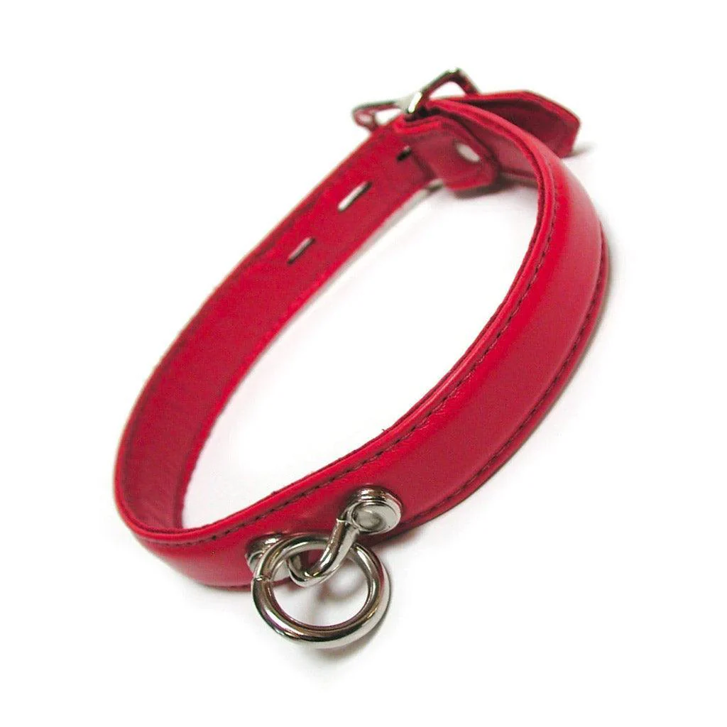 Premium Garment Leather Collar - Image 4