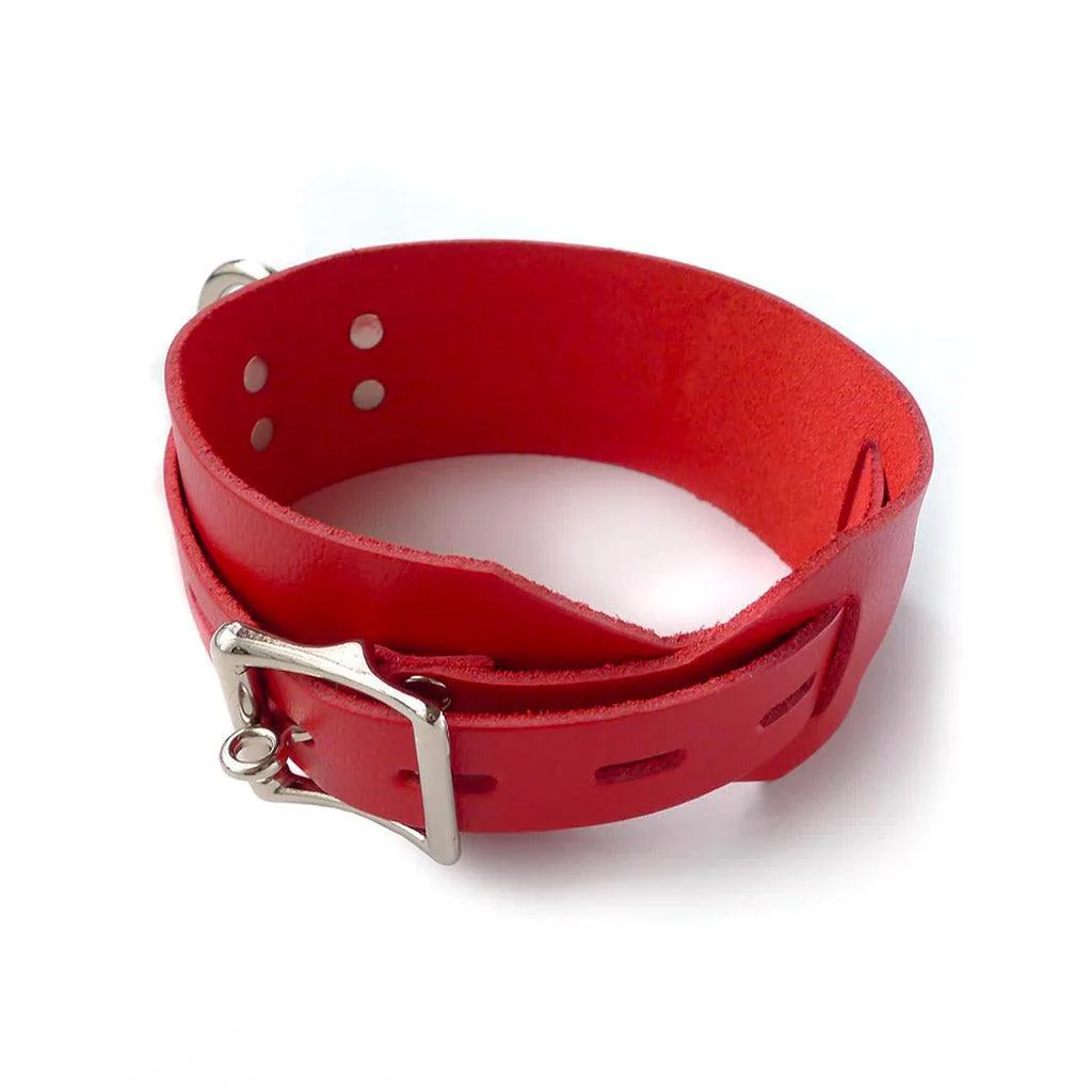Red Deluxe Buckling Collar - Image 4