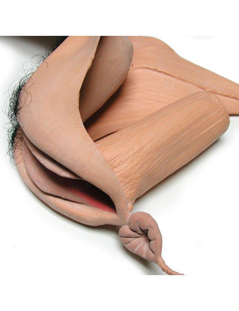 Sheath with Urinating Bladder Vee-String Vagina Prosthesis - Image 4