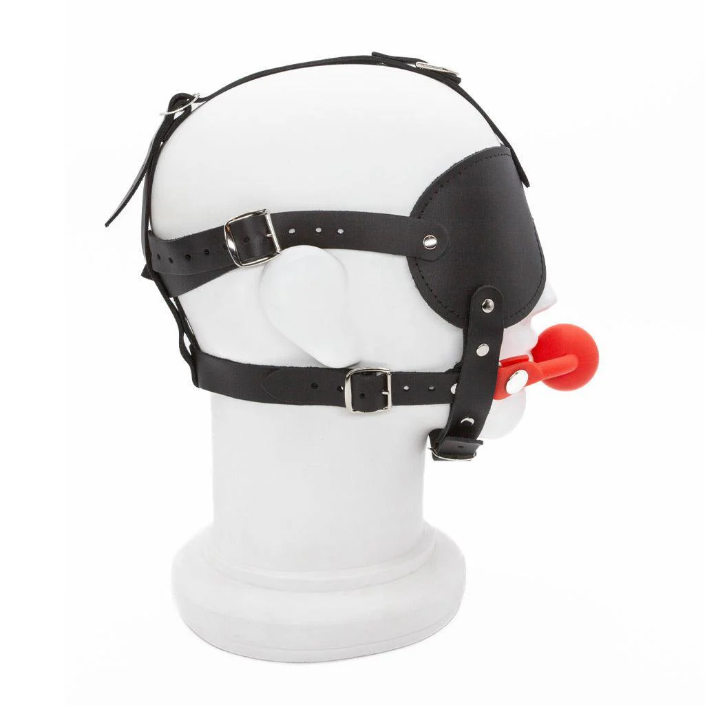 Silicone Ball Gag and Blindfold Head Harness - Image 2