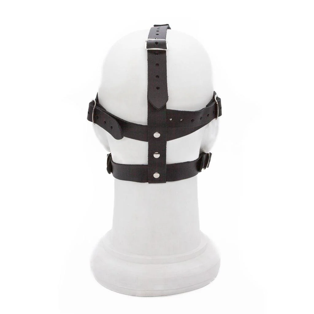 Silicone Ball Gag and Blindfold Head Harness - Image 3