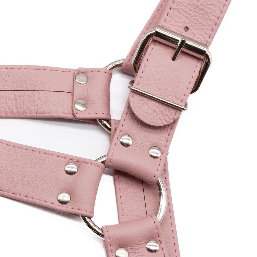 Stupid Cute Bulldog Harness - Image 2