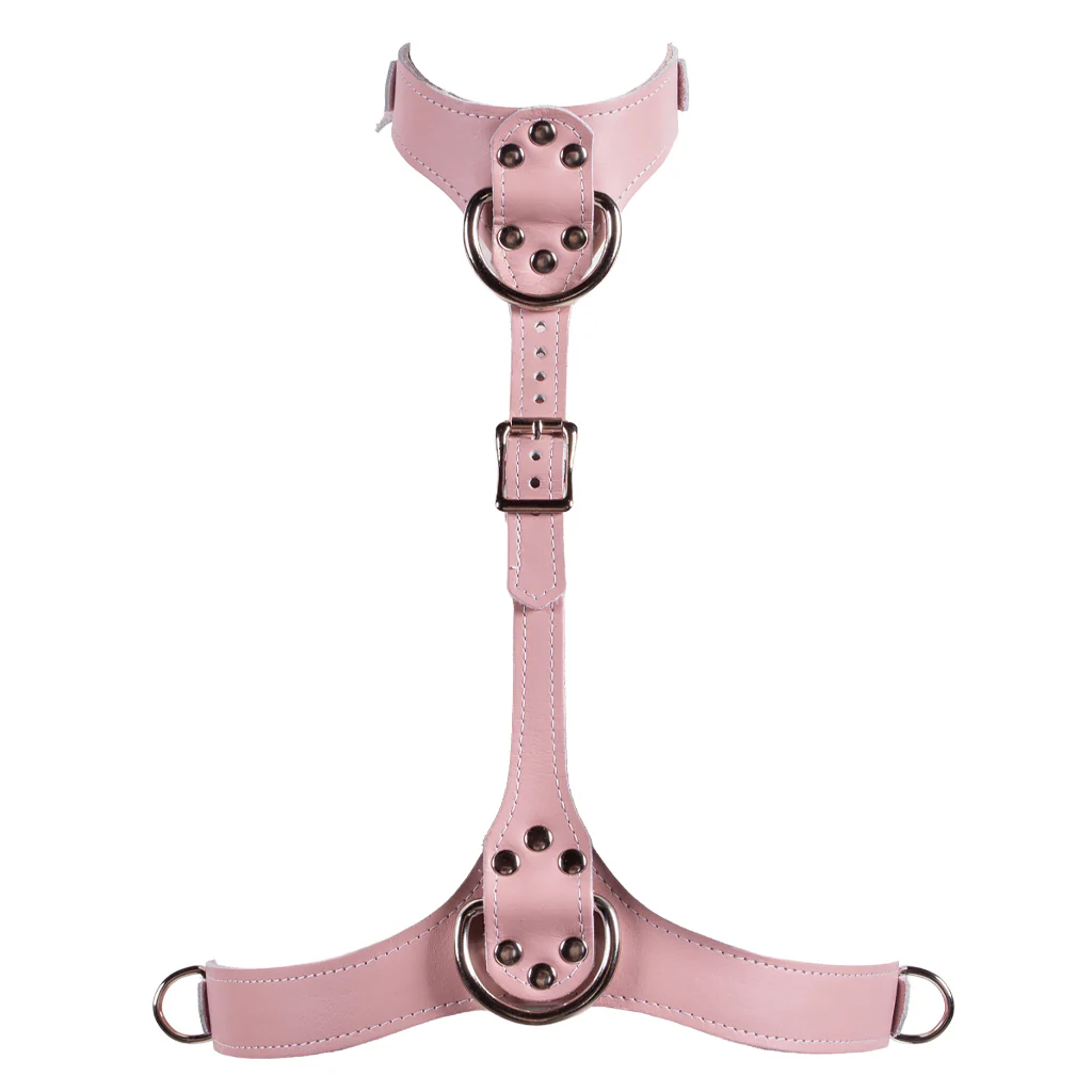 Stupid Cute Bust Harness - Image 2